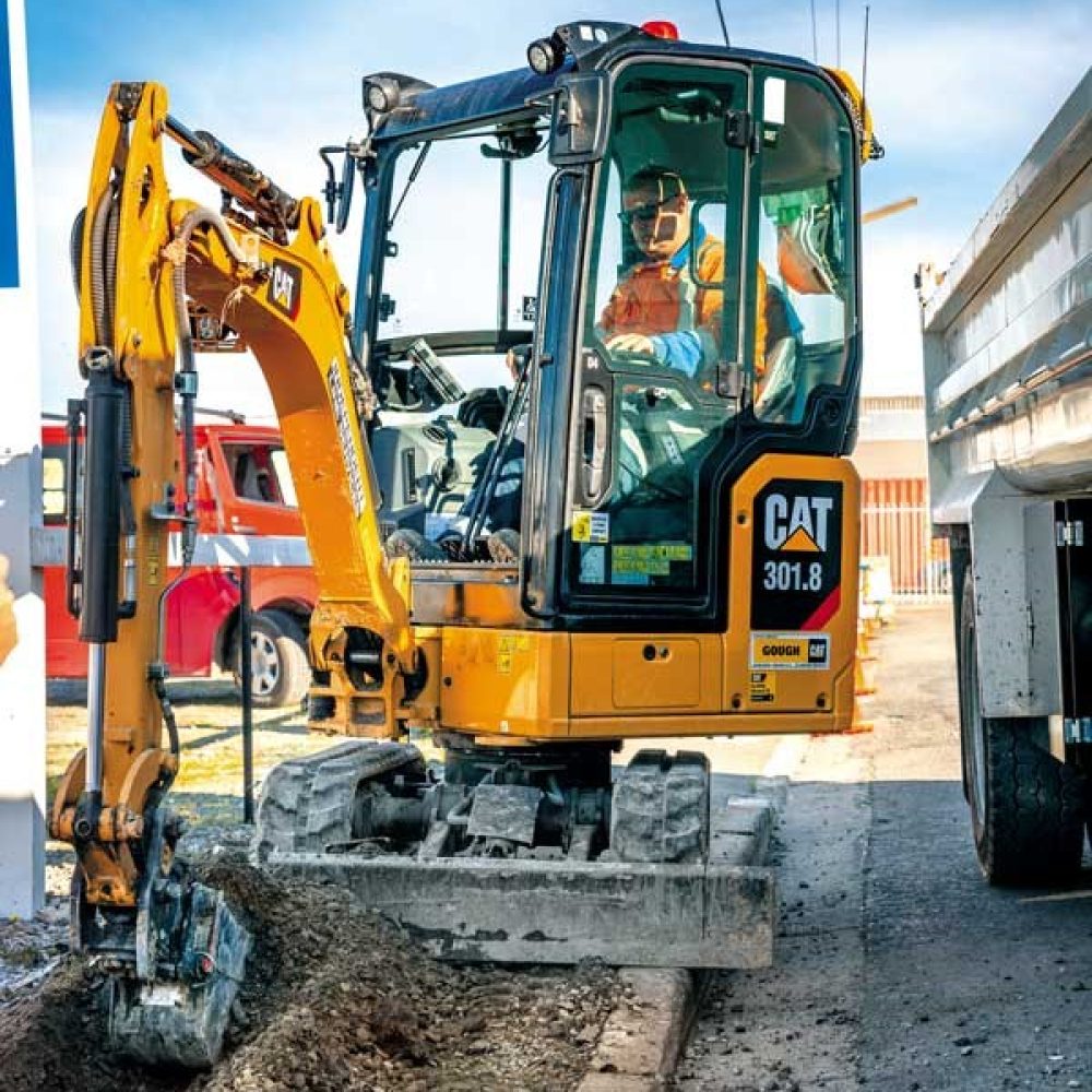 19-08-Gough-CAT-07 19-08-Gough-CAT-07